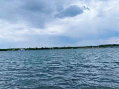-丁香湖公园