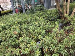 -星巴克(西湖天地店)