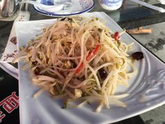 酸辣豆芽-迎燕阁烤羊腿(二环南路店)