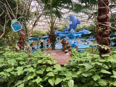 -南宫五洲植物乐园