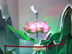 -厦门园林博览苑