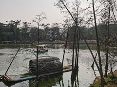 -金山植物公园