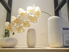 -桃源人家(环城南路店)