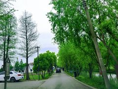 -广富林郊野公园