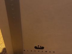 -BLACKSWAN黑天鹅(环球店)