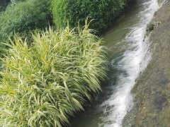 -天河潭旅游度假区