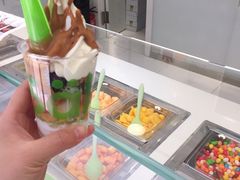 -Salud撒露欧洲冻酸奶(798艺术区店)