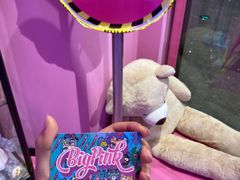-BIG PINK大粉娃娃机主题馆(圆融星座店)
