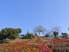 -东莞植物园