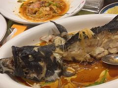 -中苑海韵