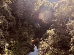 -野象谷景区