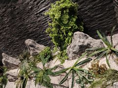 -怀德酒楼·粤菜·海鲜·茶点(怀德万象汇店)