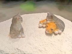 -将太无二·北美传奇寿司(荟聚购物中心西红门店)