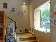 -Pets First伊珊娜洗护·精致美容·家庭式寄养(新会路店)