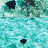 马尔代夫鲁滨逊岛-这么美的海🌊一起云旅行！附可爱的海底生物❤