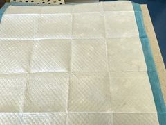 -瑞鹏宠物医院·爱宠堂(环西分院)