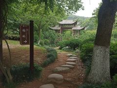 -白马涧龙池景区