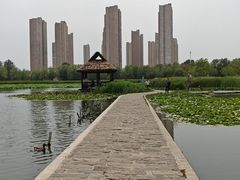 -前关湿地公园