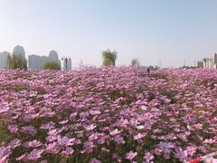 -汉江湾体育公园