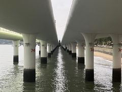 -演武大桥观景平台