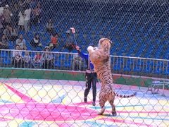 -西安秦岭野生动物园