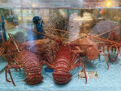 -阿伟海鲜楼·福建菜(延寿店)