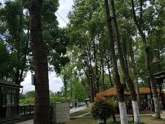 -洪湖家庭农场·团建·露营·会议