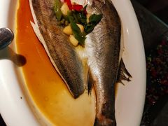 葱椒鲈鱼-绿茶餐厅(天津天河城店)