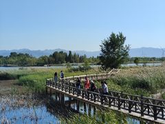 -野鸭湖国家湿地公园