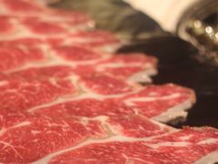 -汤城·料青山