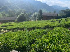-姑婆山旅游区