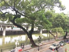 -广东胜利宾馆西关粤中餐厅