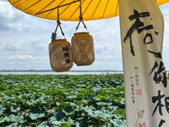 -七的湖·晚芳亭·阳澄湖农家菜·大闸蟹(莲花岛店)