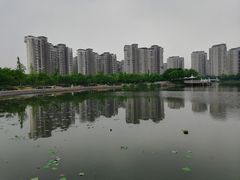 -新江湾城公园