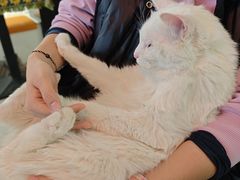 -平行世界·猫咖(首经贸店)