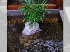 -尺山寸水日料(马桥满天星店)