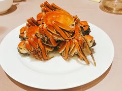 -王宝和酒家(黄浦店)