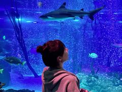 -沈阳海洋探索中心