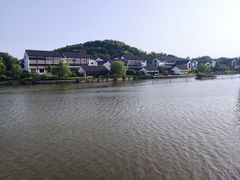 -鲁镇