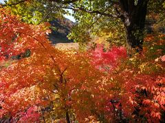 -丹东天桥沟景区