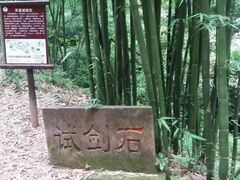 -芦沟竹海