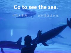 -泉城欧乐堡海洋极地世界