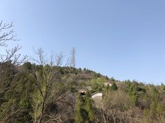 -白水寺森林公园