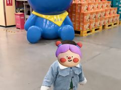 -麦德龙(雨花店)