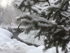 -水磨沟公园