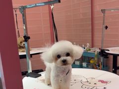 -FAELING PETS美天灵宠物(合生汇店)