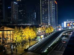 -成都尼依格罗酒店