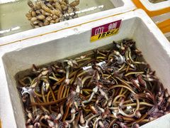 -华源餐厅·海鲜大排档(日月贝店)