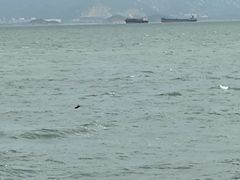 -白城沙滩