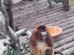 -宁波野生动物园